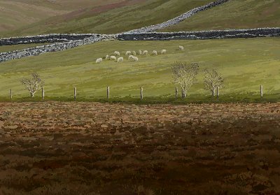 Field, Balnakeil, 2008. 33cm by 23cm