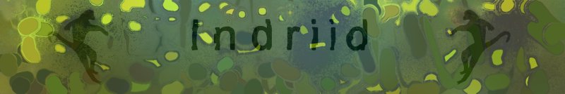 indriid banner